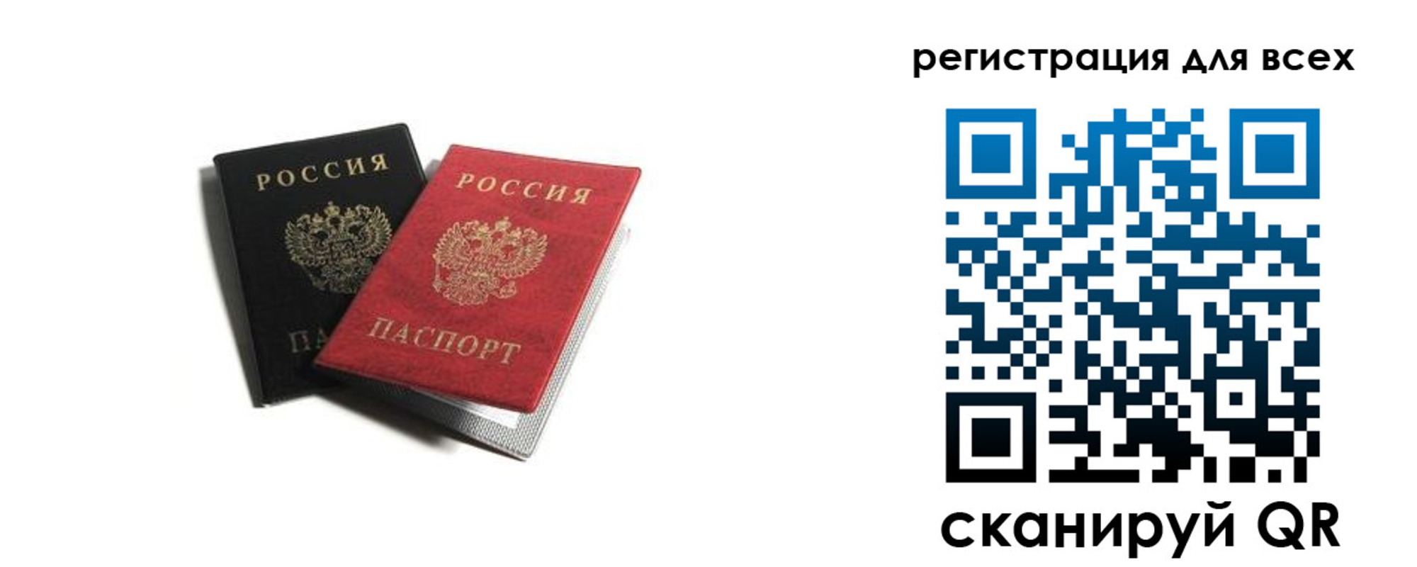 прописка гарантия в Волгограде